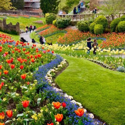 fungkingassh's profile picture. 