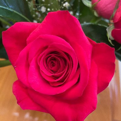 oneliner1066's profile picture. 