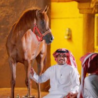 عبدالعزيز الضبيعي (@abduziz_) 's Twitter Profile