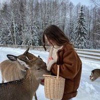 Sleastar (@sleastaravygrb) 's Twitter Profile