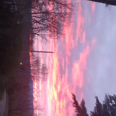 _Kxylaaa_'s profile picture. 