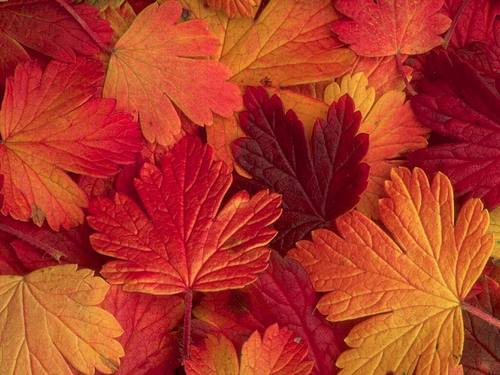 hglm01's profile picture. 