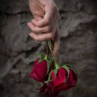 نِوٌرهّـأّنِ (@niwu68) 's Twitter Profile