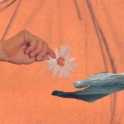 wildtheband's profile picture. Pre-Save “Getting Started” here: https://t.co/dP0ieCQjp2