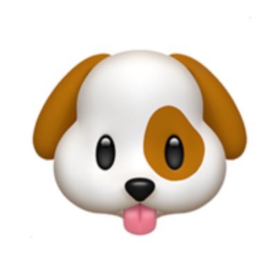 k_shih_tzu's profile picture. ポトレメインのたまにモタスポ写真とお酒垢🍺🥃/ポトレは'24/3〜…色々とまだまだひよっこ🐣/無言フォローしてくれていいんですよ🤗/📷SONY