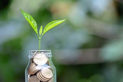 jrpedro537's profile picture. ~Keep moving~