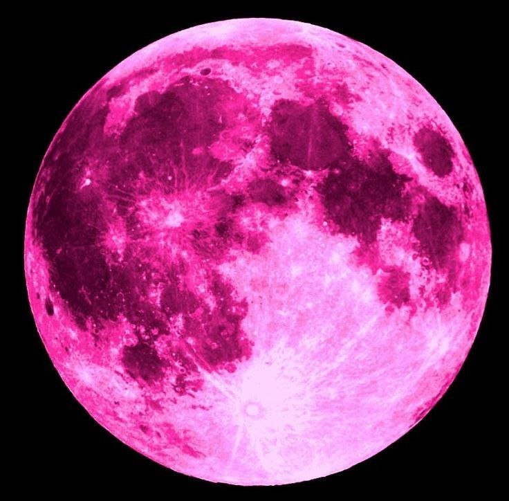 janetta_99N1's profile picture. Lifestyle Explorer ⚙️ Smart contract developer ♒️ Drama devotee