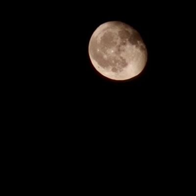 Osman525425's profile picture. 