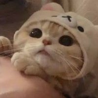 24398770 (@goofytel) 's Twitter Profile