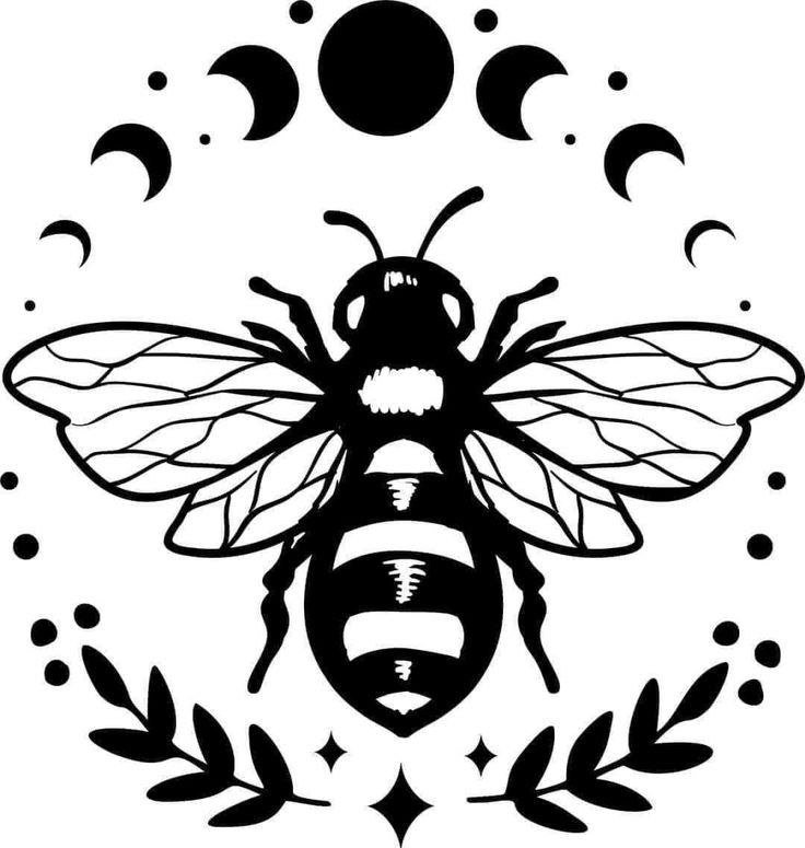 Likitha64470116's profile picture. Crypto Venture Catalyst ♒️ Winning at life with a dash of swag 🔸 Head of R&D for DigiPay, a crypto wallet with 1M+ downloads 
Coffee shop philosopher ☕