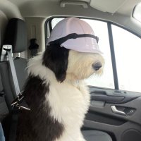 Andrew Cronin (@andy_cronin96) 's Twitter Profile Photo