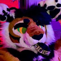 Fuck Puppy 🔜 TFF, FWA (@softtyggz) 's Twitter Profile Photo Fuck Puppy 🔜 TFF, FWA (@softtyggz) 's Twitter Profile Photo