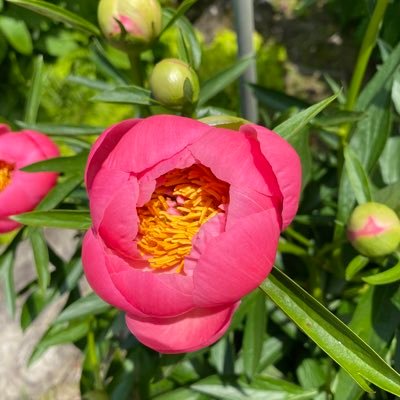 olive_olive06's profile picture. パッチワーク 布小物をマイペースに作っています☆〜 旅、絵画、自然… 一つでも多く本物に出会いたい♪