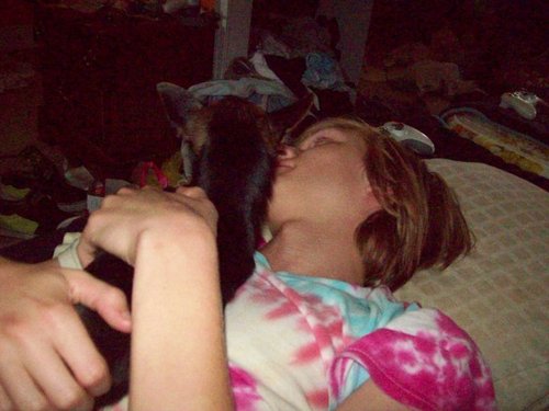 StevenDrewMack's profile picture. My girlfriend is awesome. and i skateboard.