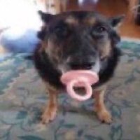 leo (@naoehleonardo) 's Twitter Profile Photo leo (@naoehleonardo) 's Twitter Profile Photo