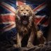 🇬🇧 Steve 🏴󠁧󠁢󠁥󠁮󠁧󠁿✝️ (@redsreporter) Twitter profile photo