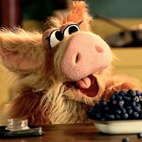 kunebtc's profile picture. 