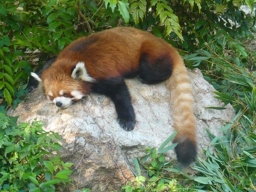 takupapa51's profile picture. まいど！たくぱぱ@集客請負人です。webコンサルを生業とし、ソーシャルメディアを利用した店舗への集客を提案してます。家にいることが多いので家事・育児担当になってますｗフォローしてくれると喜びます～♪土佐弁満載の育児ブログも書いてます。まあ一回見ちゃってや→http://t.co/tP5aWjlKUu