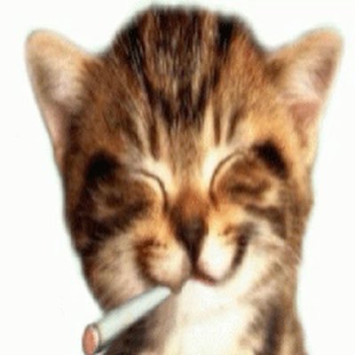 niccoriさんのプロフィール画像