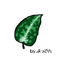 よっさん (@koji3854) Twitter profile photo