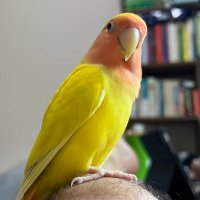 घुम्मकड़ Baba (@rkgeemail) 's Twitter Profile Photo घुम्मकड़ Baba (@rkgeemail) 's Twitter Profile Photo