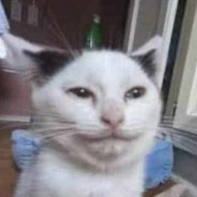 khunseinhtwar's profile picture. I Love Makima