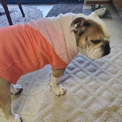 CyreenBrahe's profile picture. 