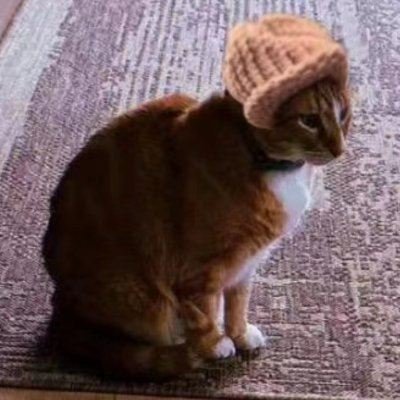 NDluoluo71's profile picture. Crypto, News, free speech, tech, DEGEN, Gem hunter ! NFA DYOR ! CONTROVERSIAL