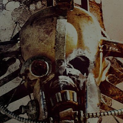 netspeed1903231's profile picture. 