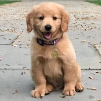Bobbi (@bobbiboo219) 's Twitter Profile
