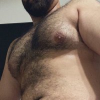 another Bi Bear (@avg_bi_bear) 's Twitter Profile