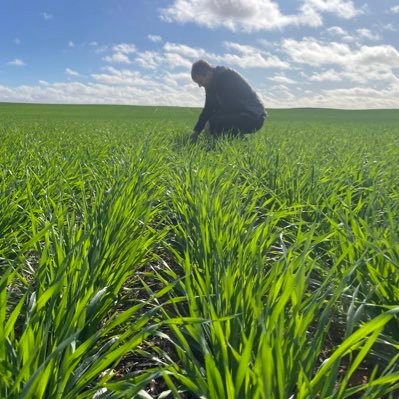 hmcdonald30's profile picture. Graduate Agronomist at Dodgshun Medlin