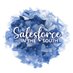 Salesforce in the South (@sfinthesouth) Twitter profile photo Salesforce in the South (@sfinthesouth) Twitter profile photo