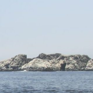 lumoreca's profile picture. 