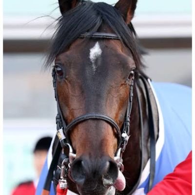 SUI1EZkkze81430's profile picture. 