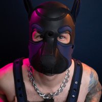 Pup Chord 🐶 🔜 CLAW (@pup_chord) 's Twitter Profile