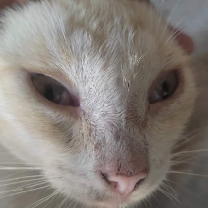 tinky_________'s profile picture. 