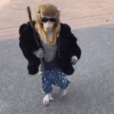 Thiagueraaa_'s profile picture. Maior platinador de jogos da minha rua
