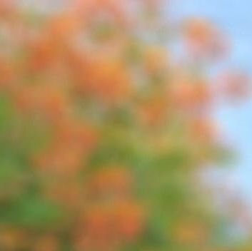 _Vishnu____'s profile picture. 