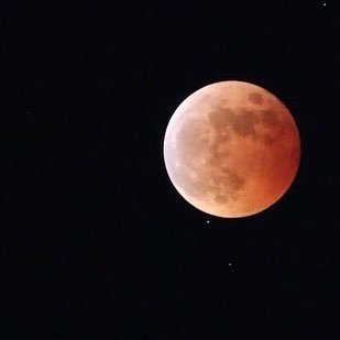 tsukimi496's profile picture. 趣味