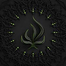 Amaretthefurry's profile picture. 