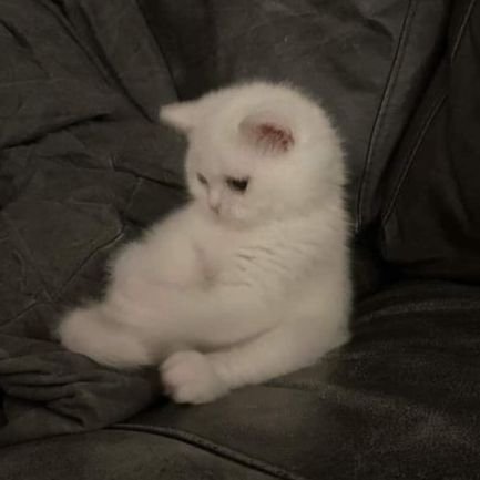 Husnain__95's profile picture. lost in my own thoughts