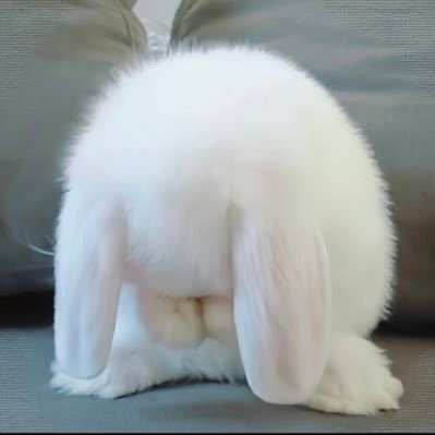 duoduo03's profile picture. 别惹我 遇见已是上上签 感恩遇见 珍惜所有