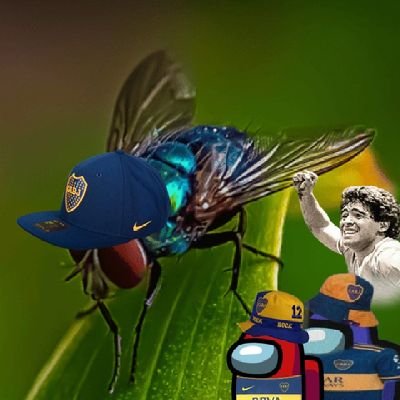 escamozzo's profile picture. 