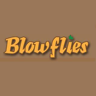 Blowflies is an independent comedy web series about a group of TV current affairs news reporters.