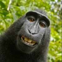 Aman gupta (@aman19319) 's Twitter Profile