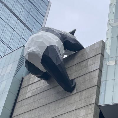 hdngxng1876631's profile picture. 