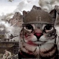 Ángel Treus (@basiloncs) 's Twitter Profile