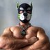 Jq26076 (@jq26076) Twitter profile photo Jq26076 (@jq26076) Twitter profile photo