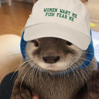 otterthief's profile picture. 